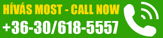 airport transfer phone